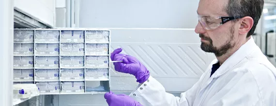 A形Novartis scientist holding multiple lab samples
