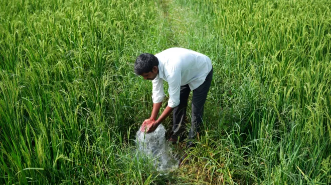 K Malesh，a farmer in the village of Sollakpally，now has ready access to water to irrigate his crops。