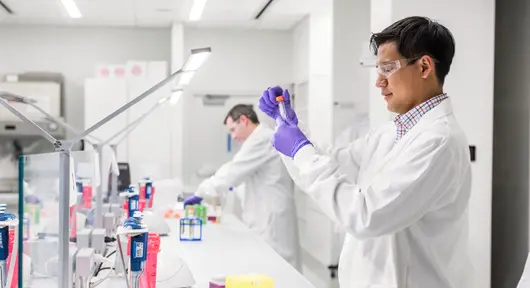 Scientists working in a lab