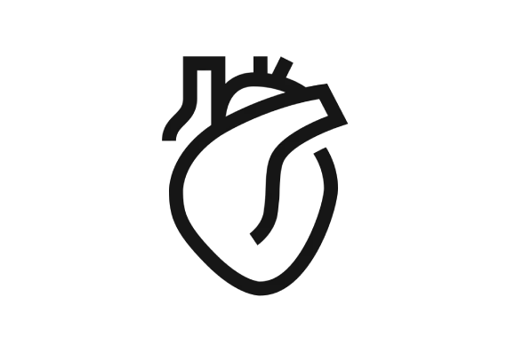 Anatomy heart icon