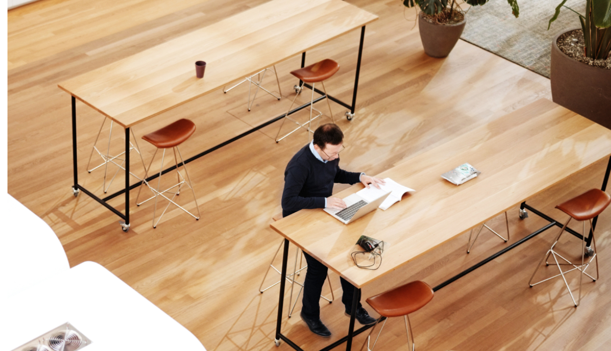 Modern co-working space with plants and wooden furniture