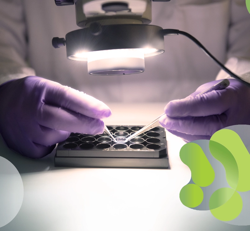 Imagen ilustrativa Atlas de Diagnóstico Diferencial de Glomerulopatía C3