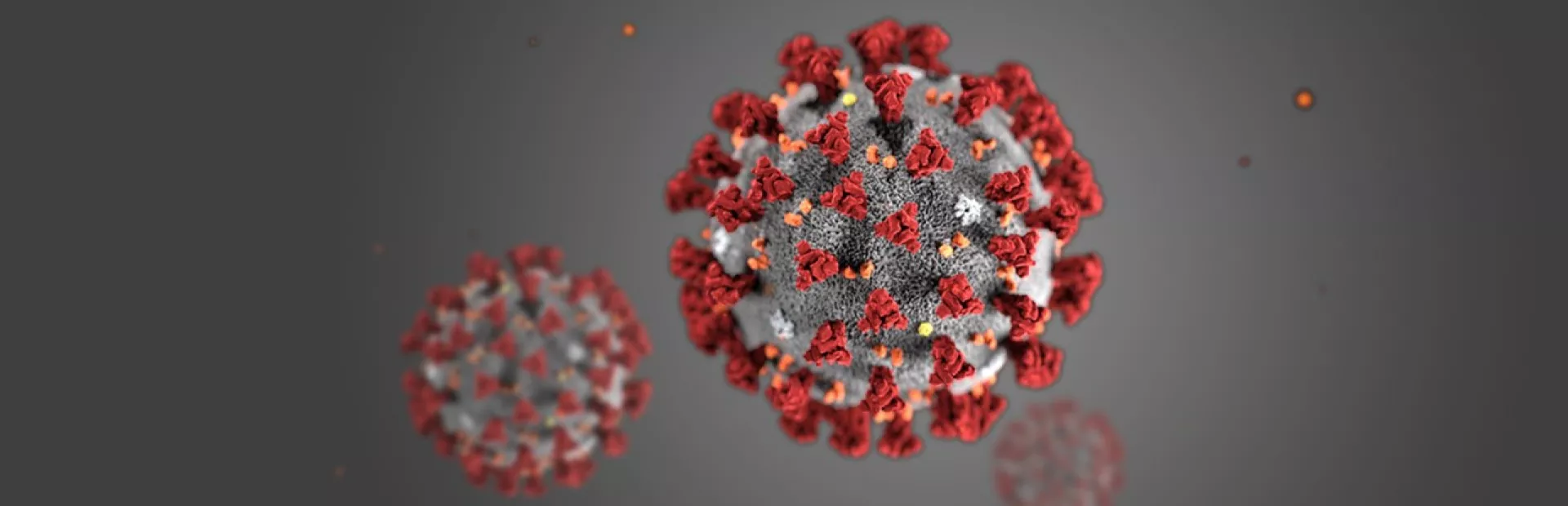 Ilustración célula de Coronavirus. 