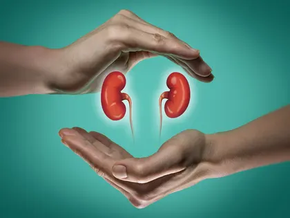 Imagen ilustrativa cómo cuidar los riñones