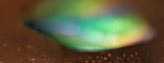 Colorful iridescent shell on brown surface