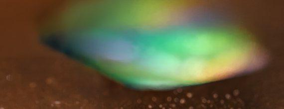 Colorful iridescent shell on brown surface