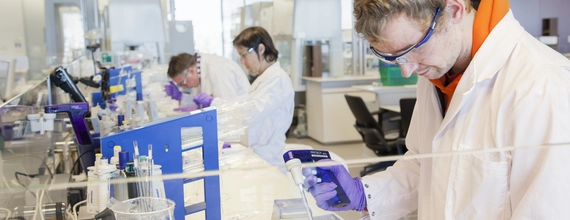 Scientists working in a laboratory with test tubes and equipment