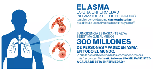 Ilustración "El asma es una enfermedad inflamatoria de los bronquios".