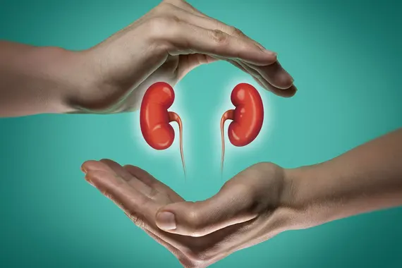 Imagen ilustrativa cómo cuidar los riñones