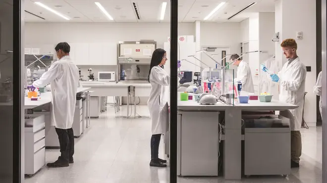 ANMAT_Valsartan ANMAT_Valsartan