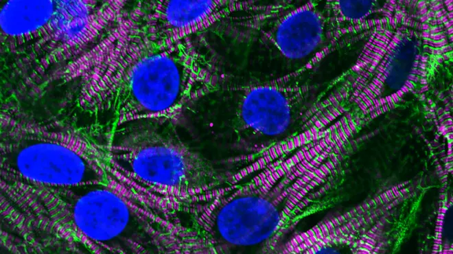 MoleculasFinal MoleculasFinal