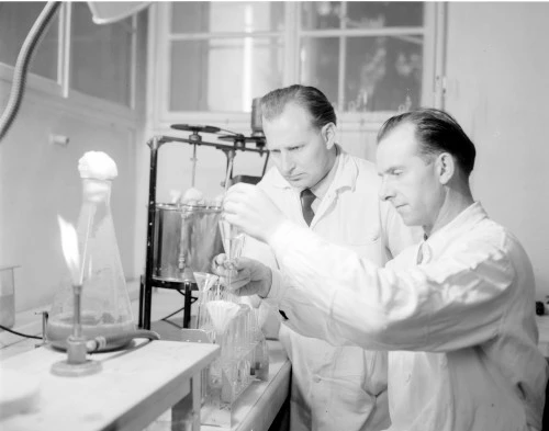 Bild Penicilin als Tablette