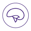ITP Icon 1
