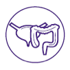 ITP Icon 5