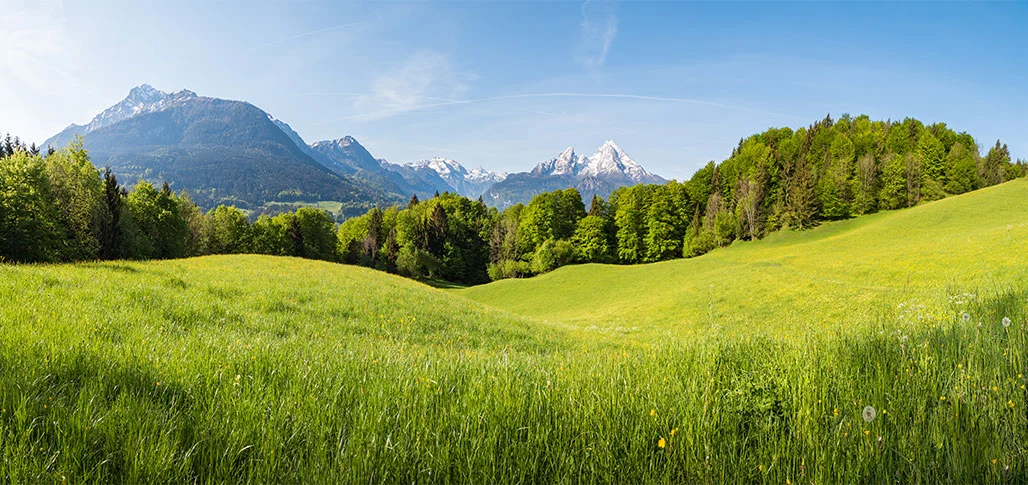 Erneuerbare Energien