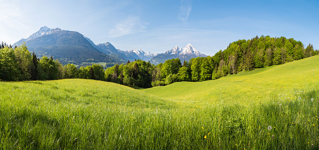 Erneuerbare Energien