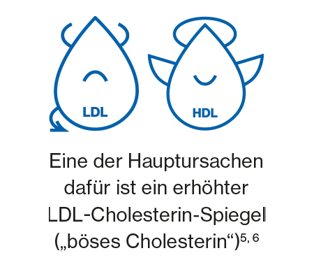 Eine der Hauptursachen erhöhter LDL-Cholesterin-Spiegel