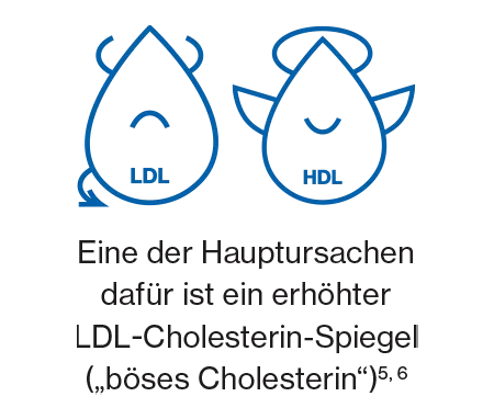 Eine der Hauptursachen erhöhter LDL-Cholesterin-Spiegel