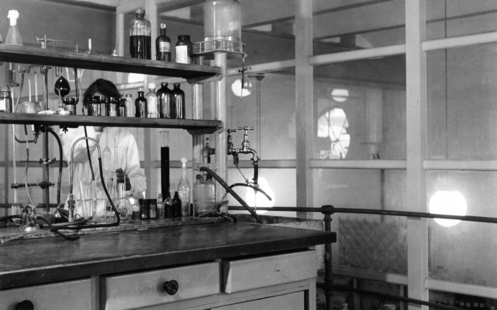 Labor