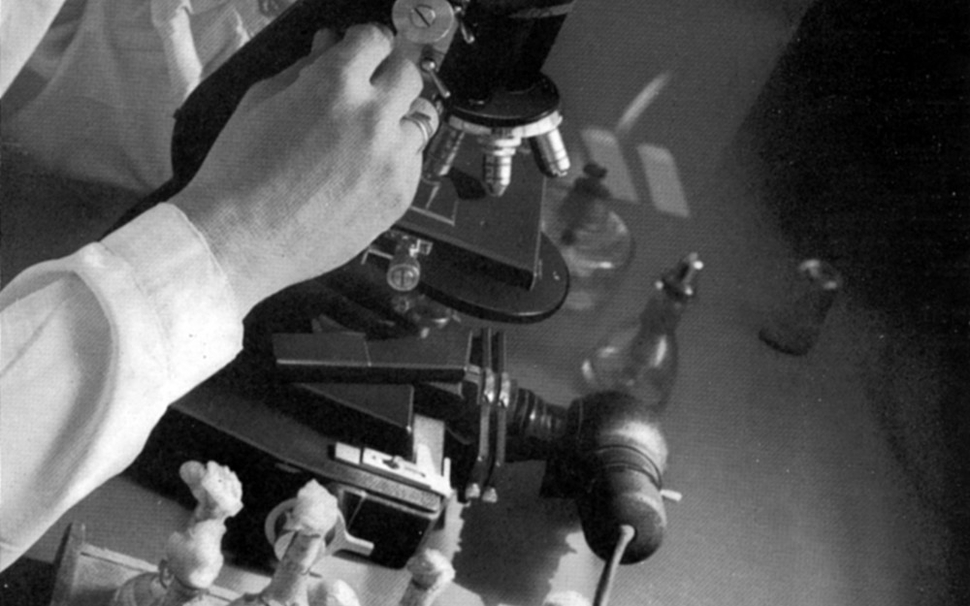 Herstellung eines injizierbares Penicillin