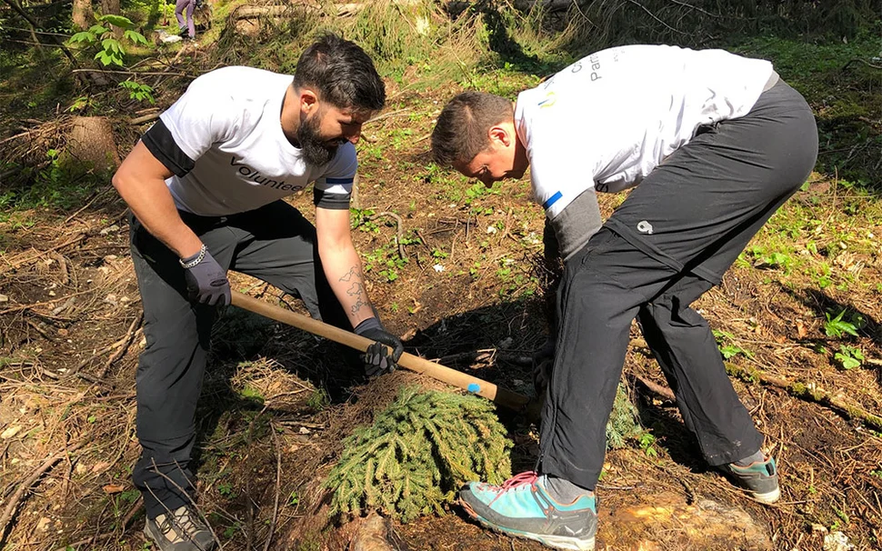 CPD 2019 Reforestation