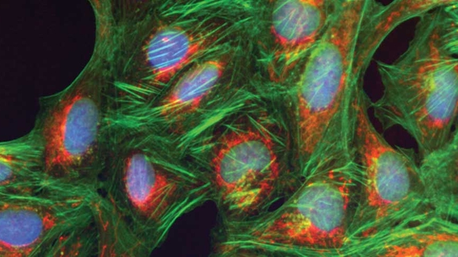 Personalisierte Medizin für kranke Gene