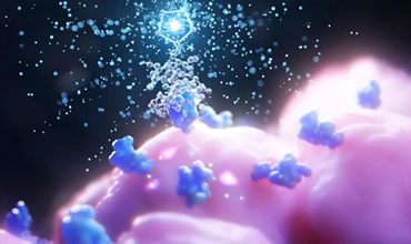 Nuclear visualization