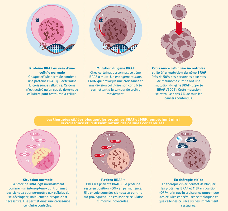 Infographic BRAF