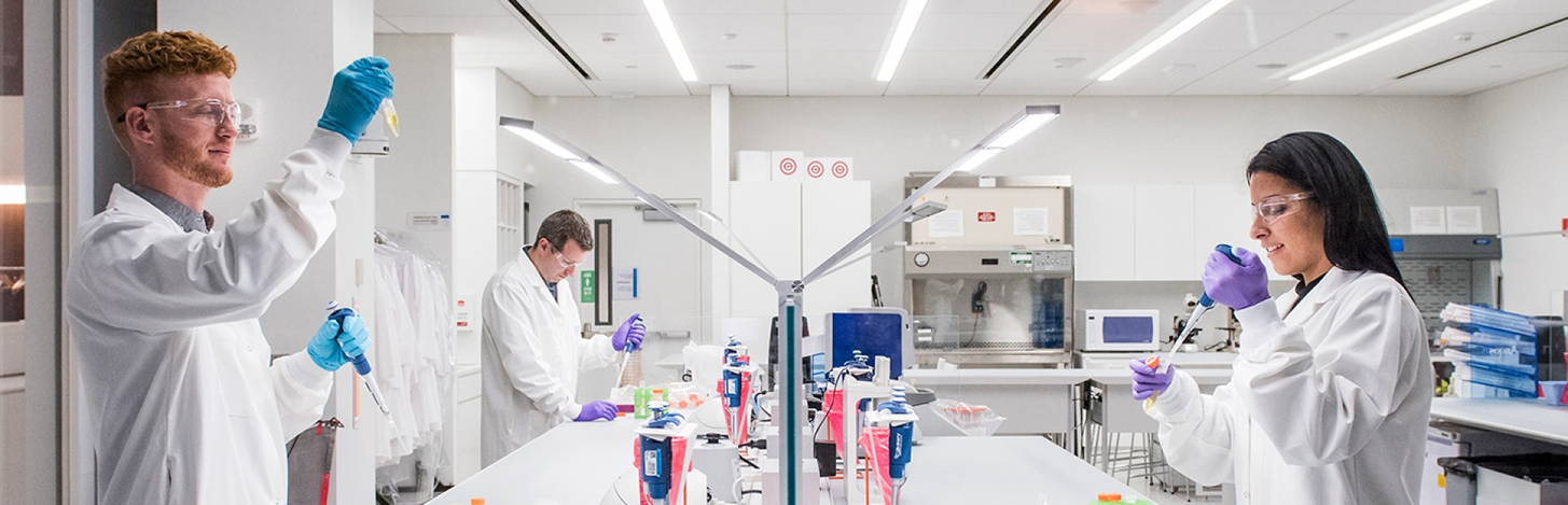 Research in lab