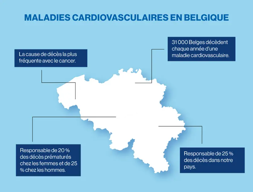 Maladies Cardiovasculaires Les Plus Connues – WFNL