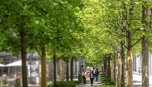 Ons ESG-engagement