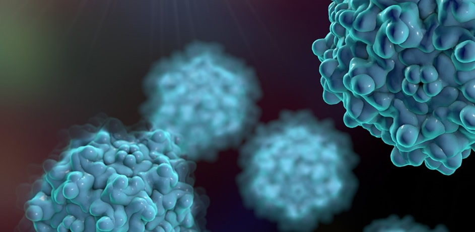 molecule_dna