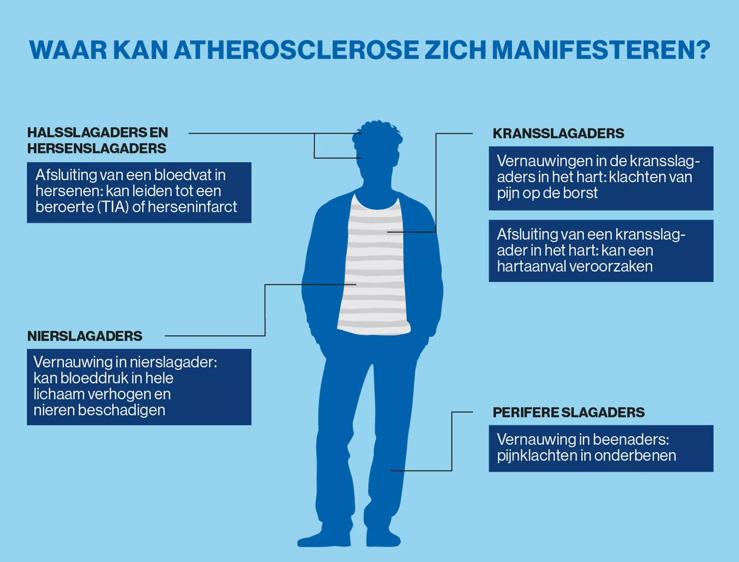 Infographic atherosclerose