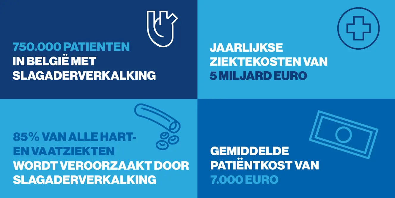 Infographic cardiovasculaire ziekten