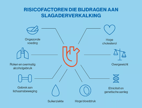 infographic risicos slagaderverkalking