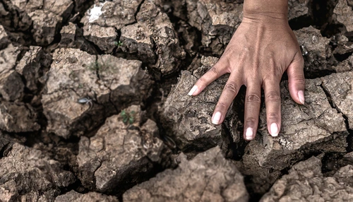 Околна среда, социални и правни въпроси