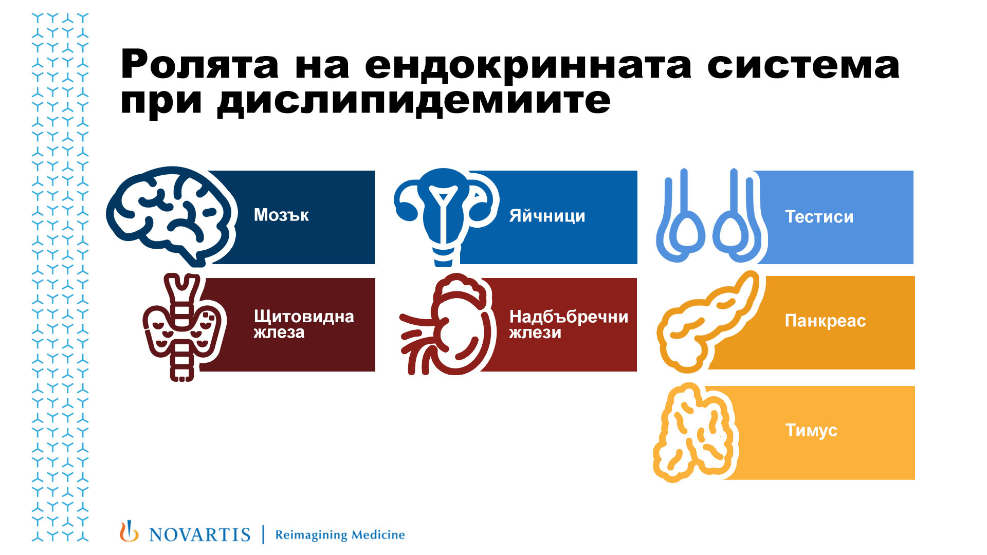 ролята на ендокринната система при дислипидемиите