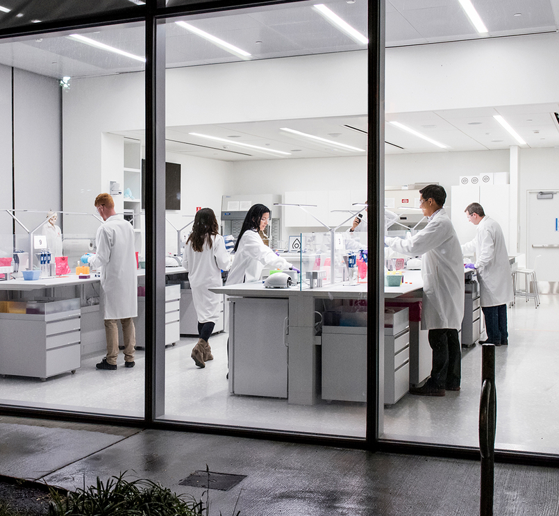Foto de uma sala de laboratório vista através das janelas altas. O laboratório é iluminado com luz branca, com bancadas, chão e paredes brancas. Nas bancadas estão frascos coloridos e adjacente mulheres e homens de jaleco branco trabalham.