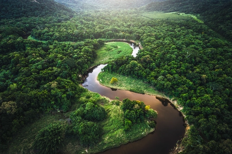 Foto de floresta vista de cima com um rio ao centro. As copas das árvores se amontoam em grupos verdes e o sol aparece forte no horizonte. 