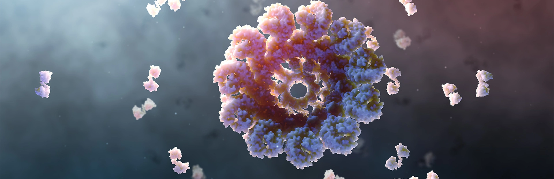 Das Inflammasom - Illustration:Mark Mazaitis