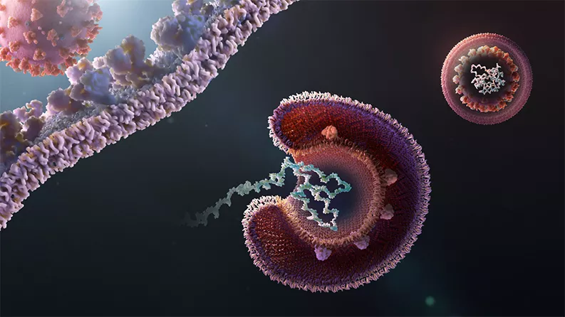 Ein Virus übernimmt die Kontrolle über eine Körperzelle
