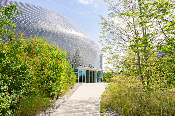 Novartis Pavillon von aussen