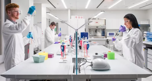 Novartis Wissenschaftlerinnen und Wissenschaftler in moderner Laborumgebung / Scientifiques de Novartis dans un environnement de laboratoire moderne