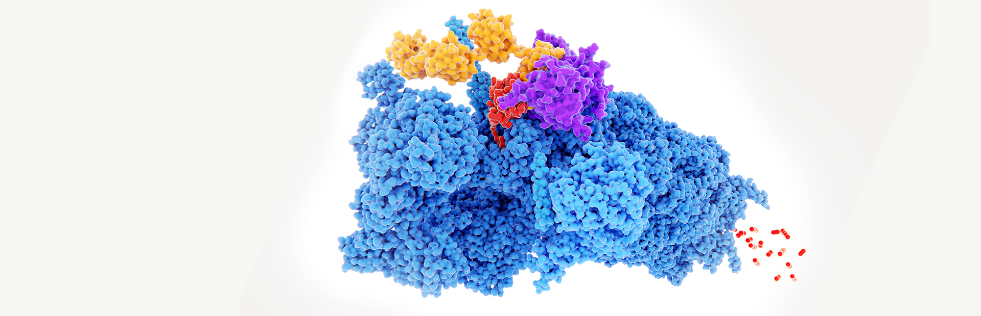 La méthode Targeted Protein Degradation permet aux scientifiques de dégrader de manière ciblée des protéines pathogènes dans l'organisme
