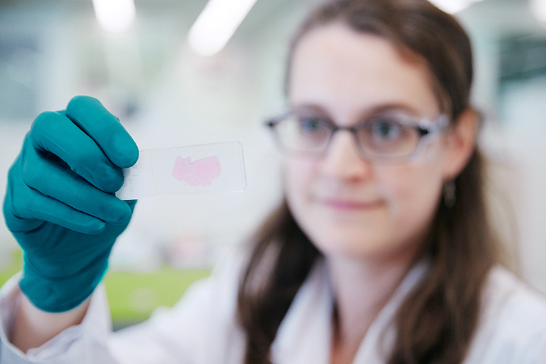 Une personne examine un échantillon de tissu coloré