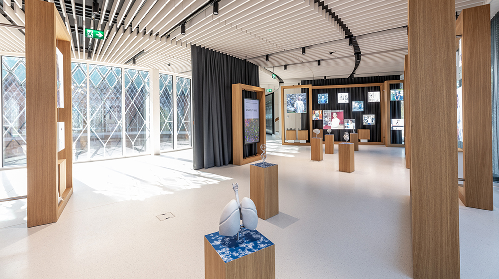 Vue du SchoolHub au rez-de-chaussée du Pavillon Novartis.
