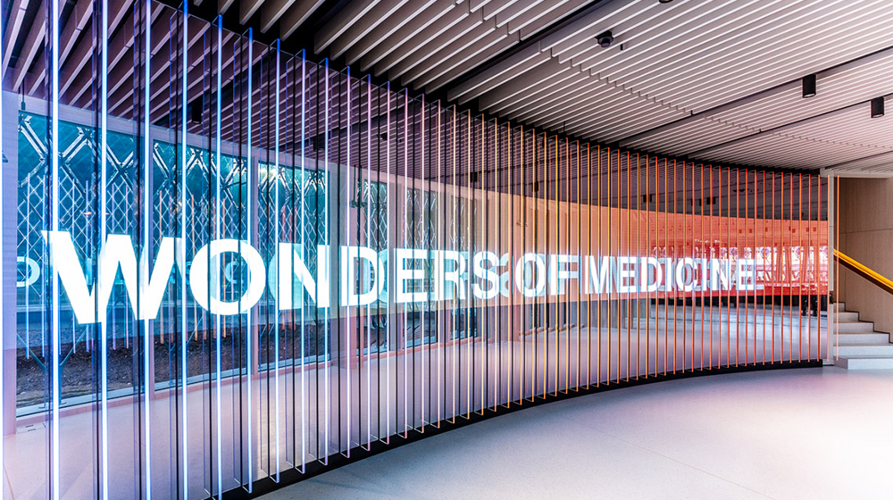 Die mutimediale Ausstellung «Wonders of Medicine». / L'exposition multimédia «Wonders of Medicine».