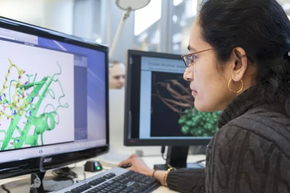 Eine Wissenschaftlerin betrachtet die Strukturen eines Proteins auf ihrem Computerbildschirm / Une scientifique observe les structures d'une protéine sur son écran d'ordinateur