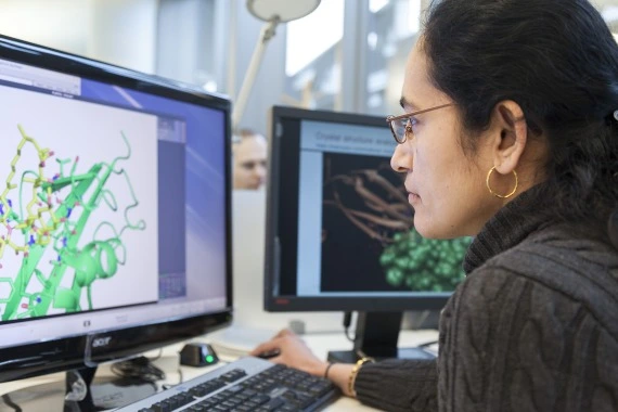 Une scientifique examine les structures d'une protéine sur son écran d'ordinateur