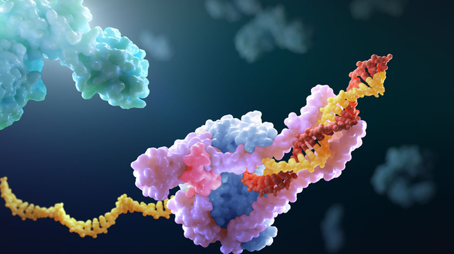 Visualisation du coronavirus en train de se reproduire
